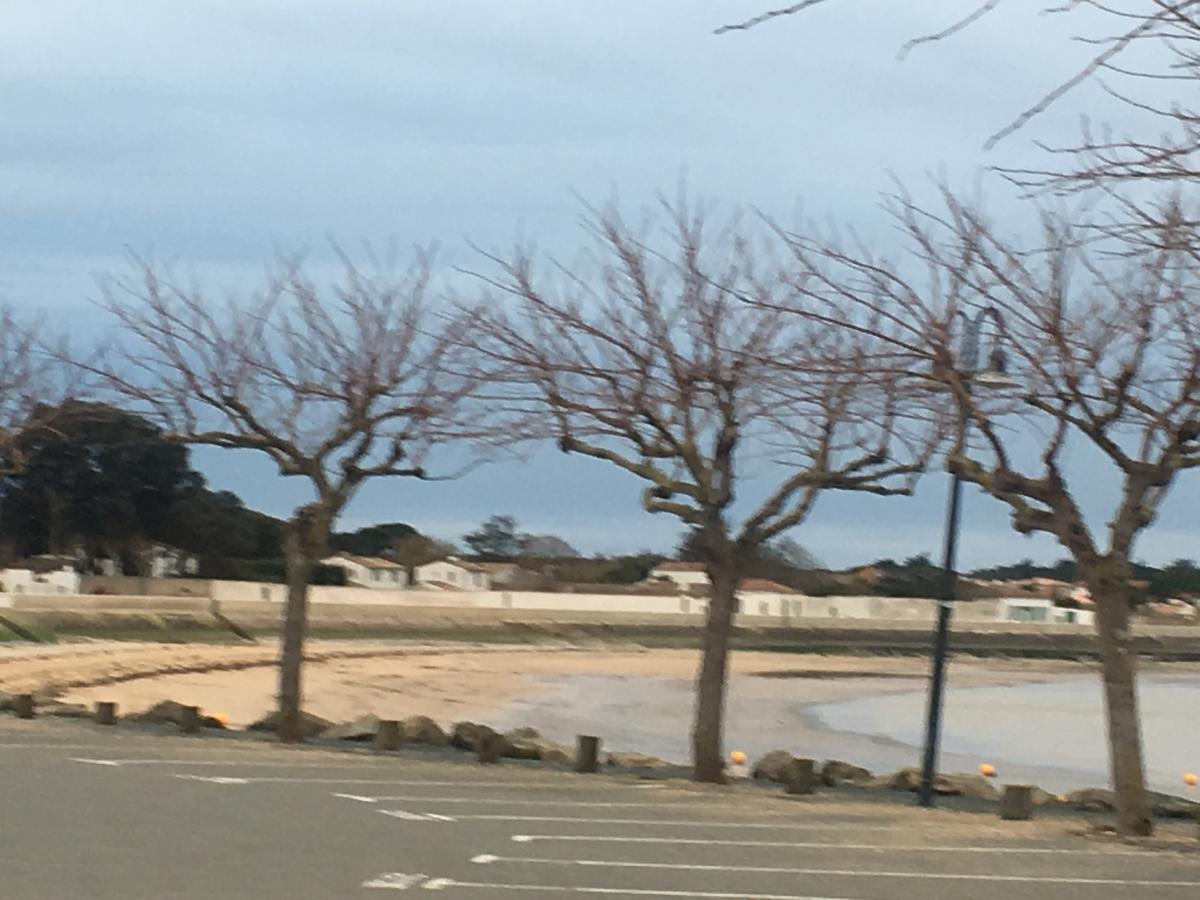 La Petite Maison Sur L'Ile De Re La Flotte Buitenkant foto